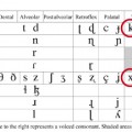 「TeX」の読み方はテフ、それともテック？